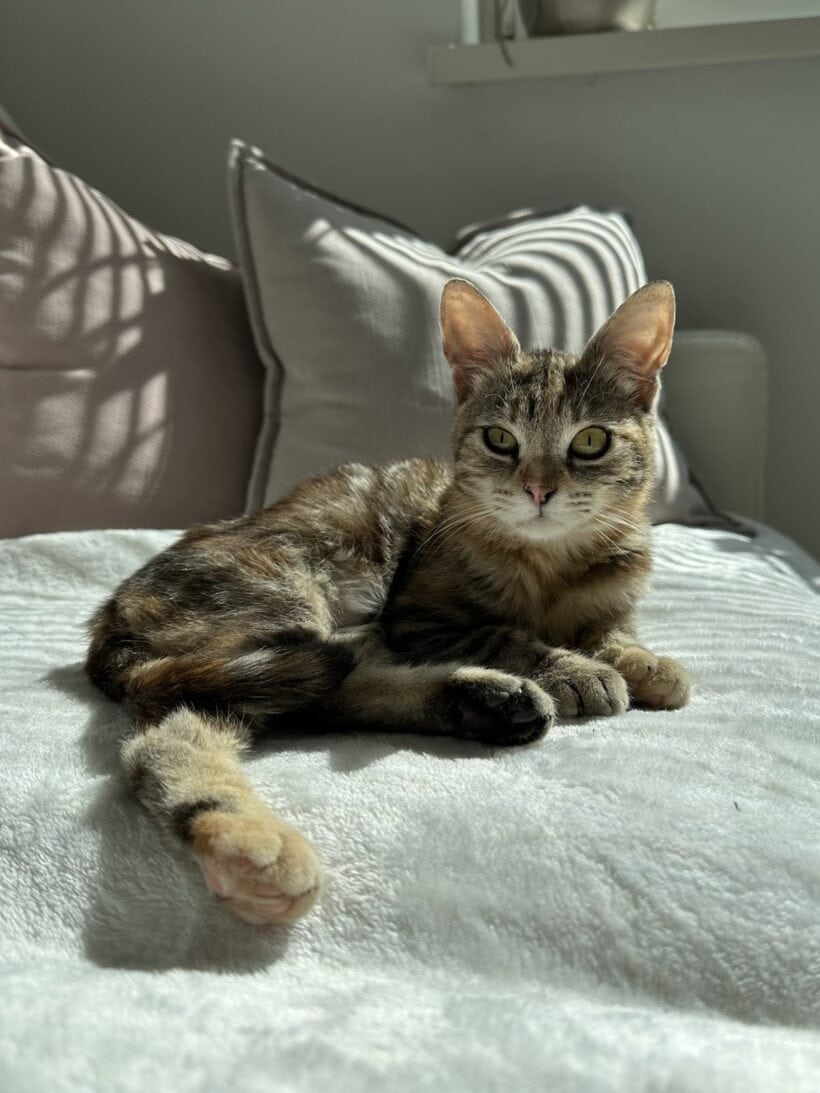 Luna