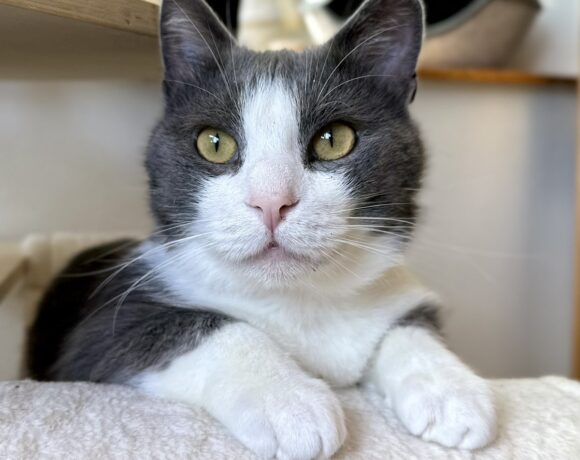 Tom